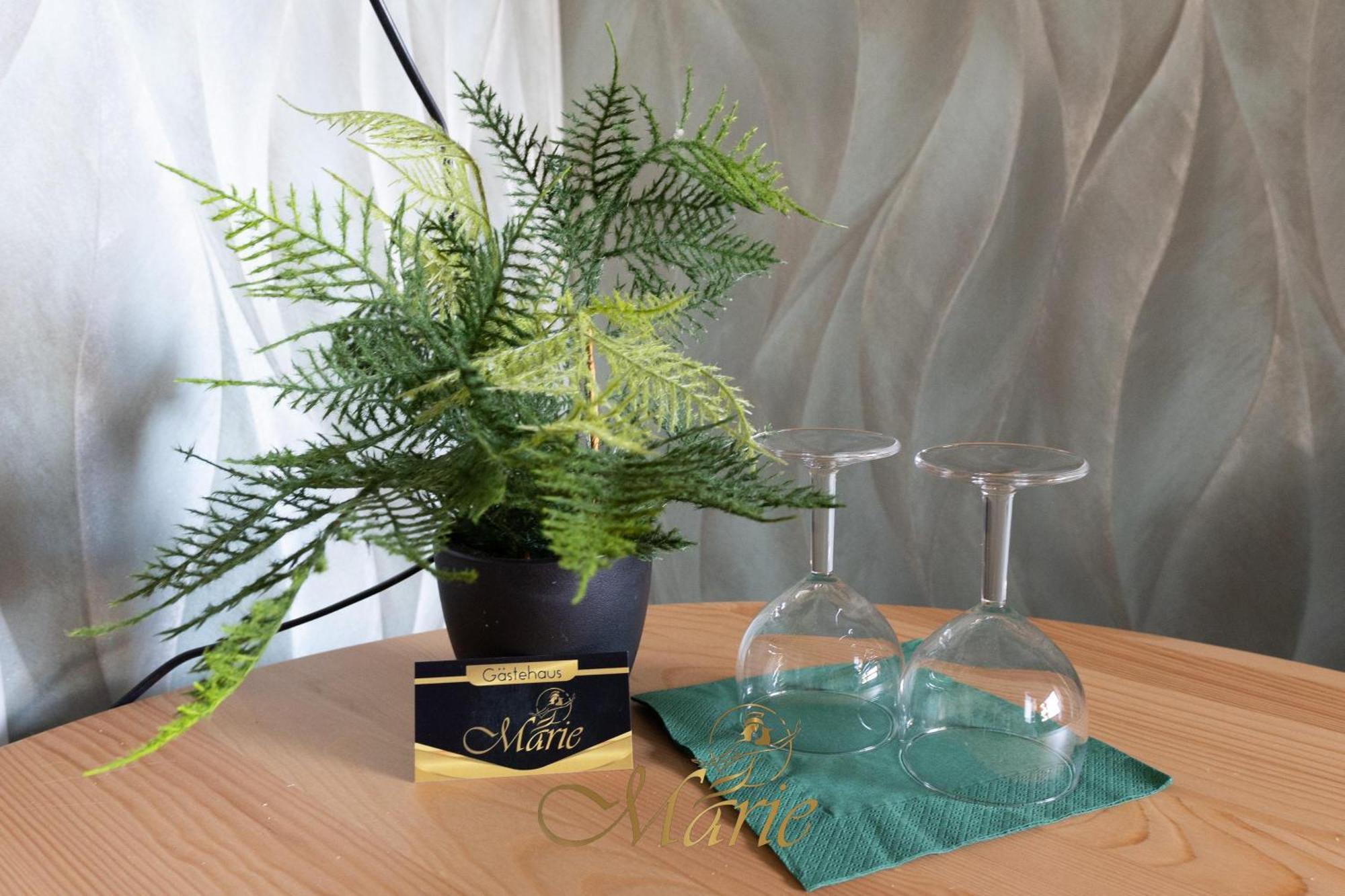 Gaestehaus Marie Pansdorf Ngoại thất bức ảnh